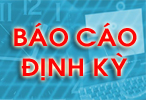 Báo cáo định kỳ